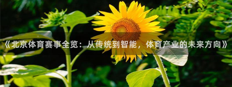 《北京体育赛事全览：从传统到智能，体育产业的未来方向》