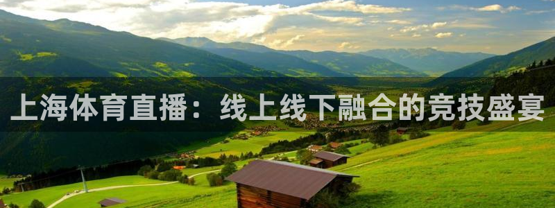 上海体育直播：线上线下融合的竞技盛宴