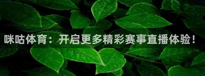 咪咕体育：开启更多精彩赛事直播体验！