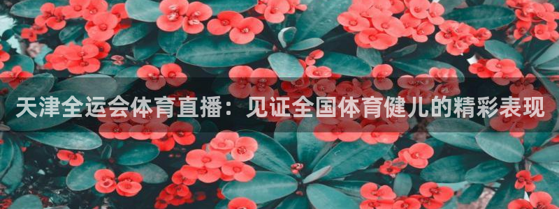天津全运会体育直播：见证全国体育健儿的精彩表现