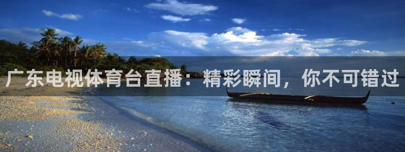 广东电视体育台直播：精彩瞬间，你不可错过