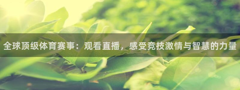 全球顶级体育赛事：观看直播，感受竞技激情与智慧的力量
