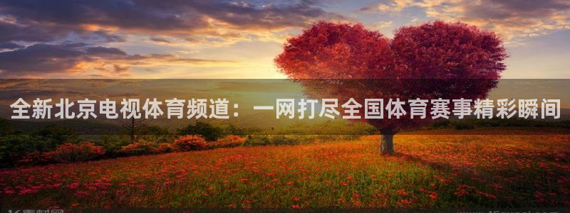 全新北京电视体育频道：一网打尽全国体育赛事精彩瞬间