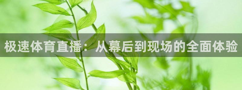 极速体育直播：从幕后到现场的全面体验