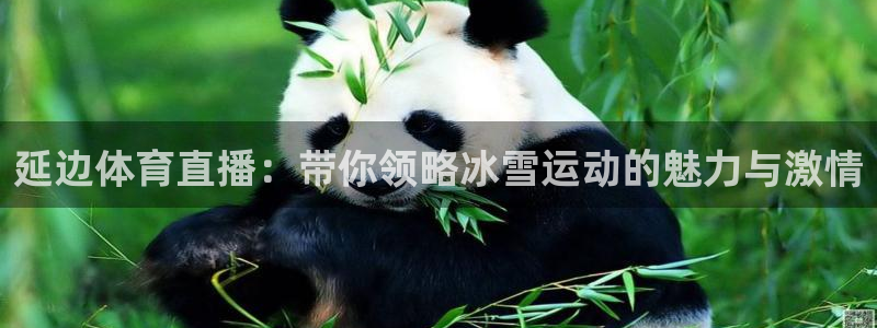 延边体育直播：带你领略冰雪运动的魅力与激情
