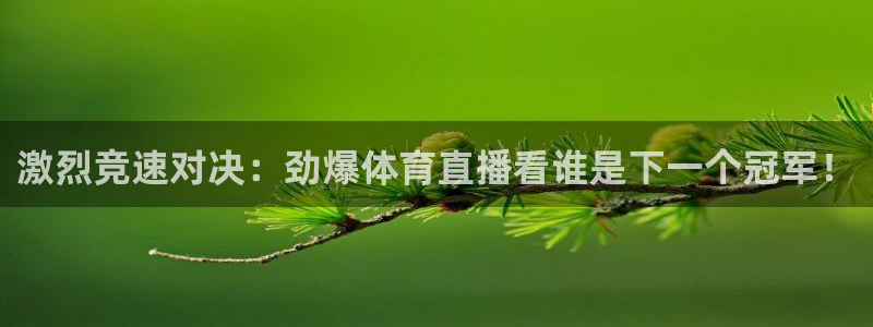 激烈竞速对决：劲爆体育直播看谁是下一个冠军！